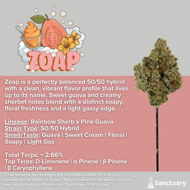 Sanctuary - Flower 28g - Zoap