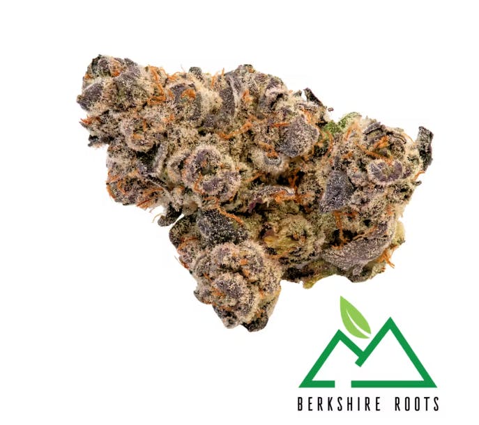 Product Gorilla Noir (H) | Flower | 28g