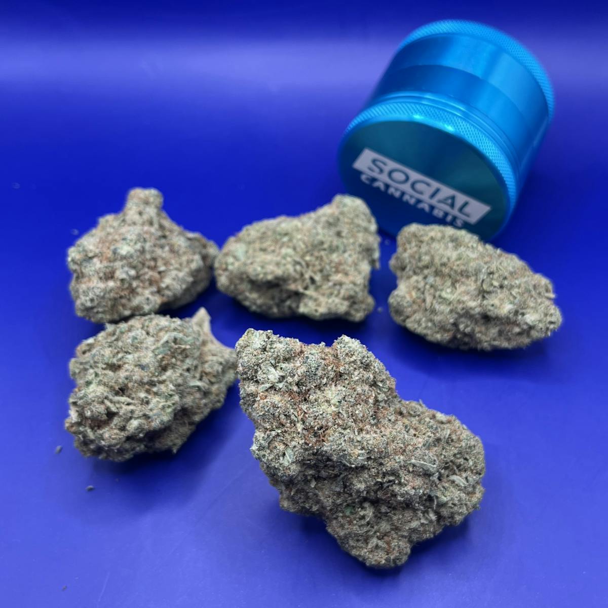 Photo of Silver Shelf – Starfire Cream (S)