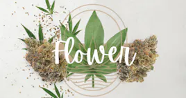 Flower category image