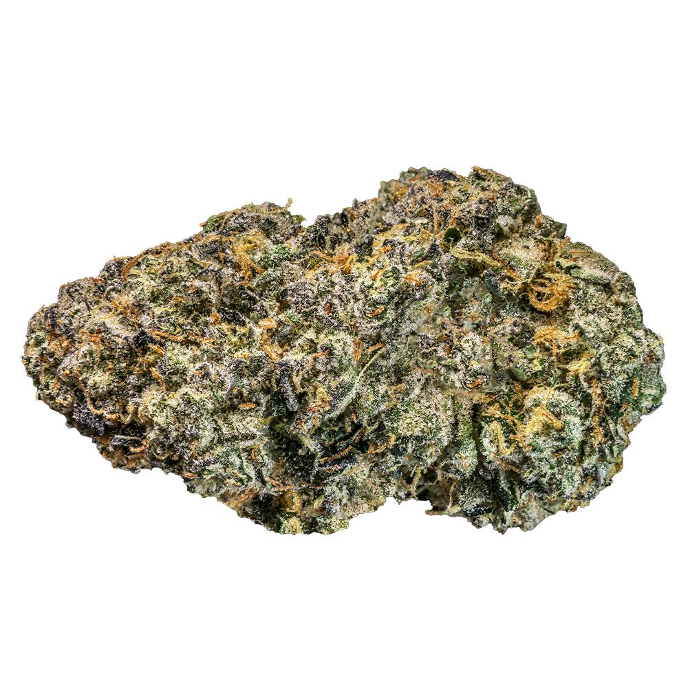 Animal Scout | Flower at Silver Therapeutics - Stillwater