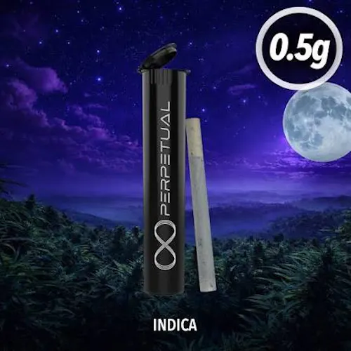 Air Tight (I) – (0.5g) PR-active