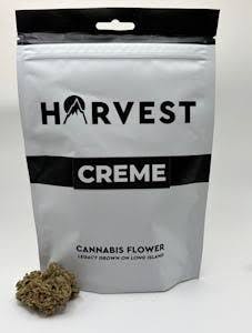 Harvest | Creme | 1oz Harvest