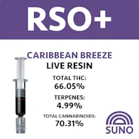 RISE RSO + Caribbean Breeze - 1g - product image at King of Budz