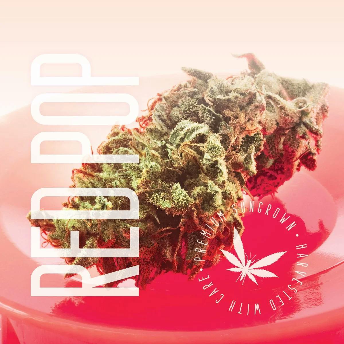 Product: Grasshopper Farms | Red Pop | Indica | Bulk Flower | BRONZE