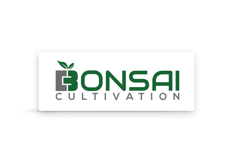 Image of Bonsai - Lemon Batter