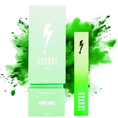 elf bar vape uk Charge Bars Premium 1G Disposable Vapes (Upgraded device!) main image 1