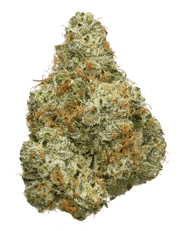 Connected | Ghost OG | 3.5g (Premium Cannabis)