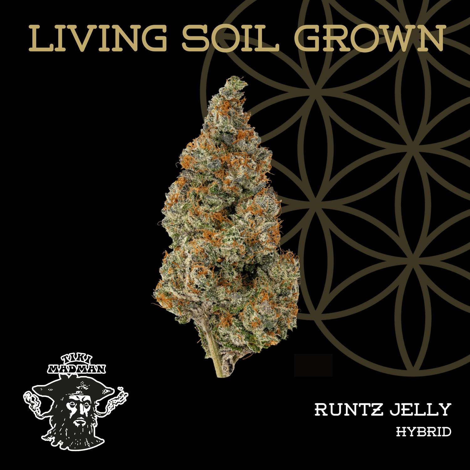 Product: Flower of Life | Bulk Bud - Runtz Jelly