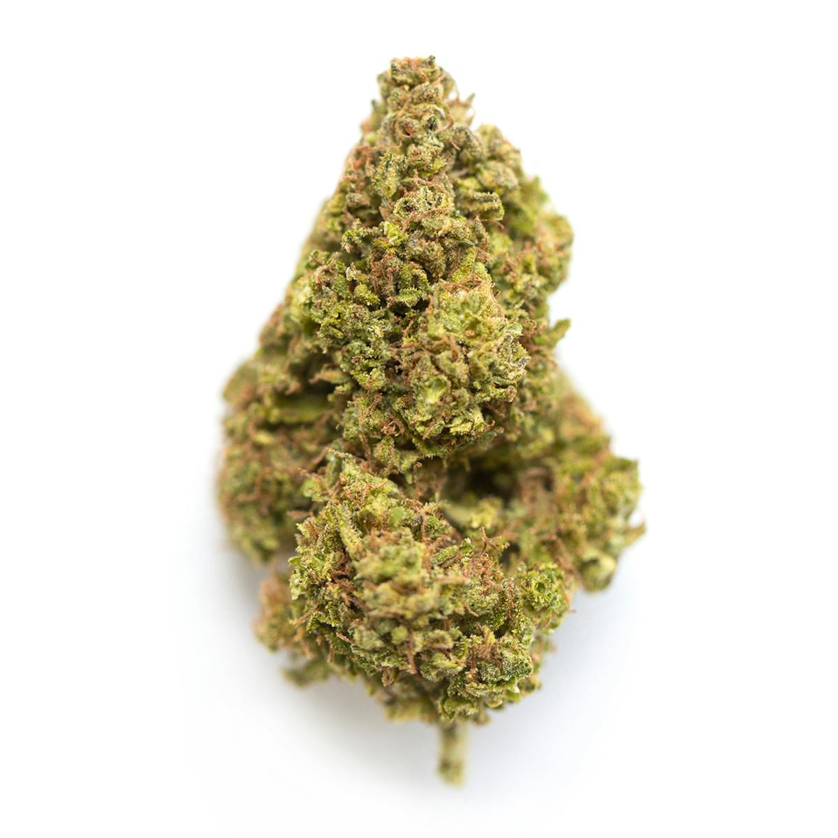 Image of Gasonade | 7g Flower