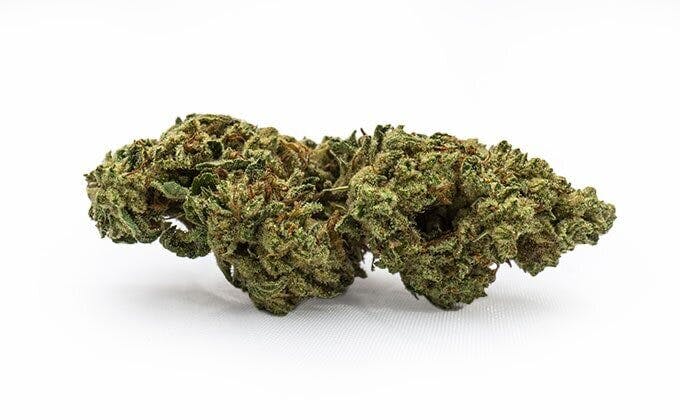 GMO x Eastside OG Indica Hybrid by Gatsby Cannabis Co. – Flower at Gatsby Cannabis