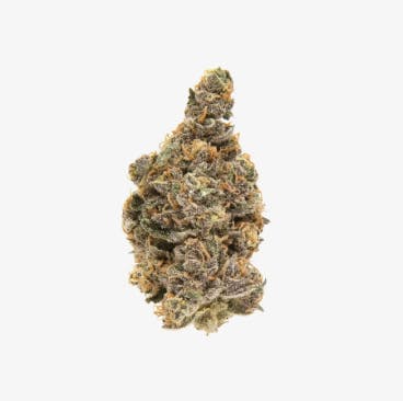 Product: GNG | Blueberry Muffin | Flower