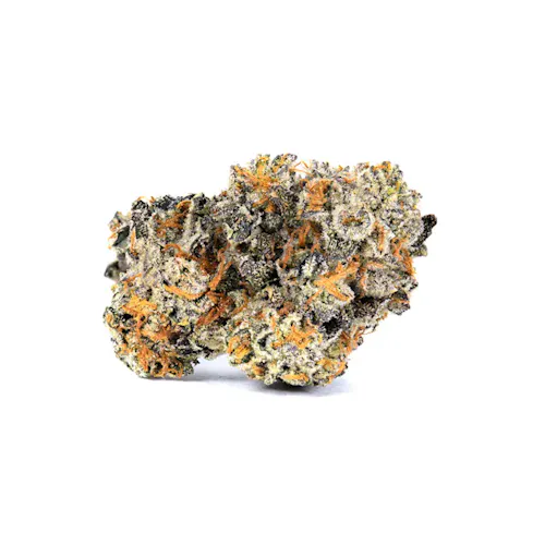 Cookies – Blue Suede – Smalls – Indoor-2