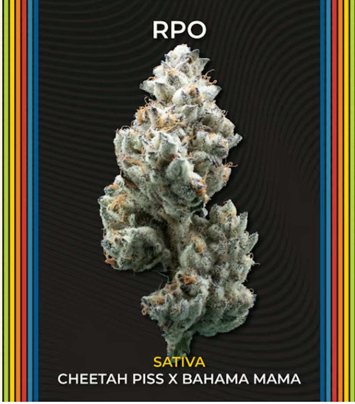 Photo of RPO