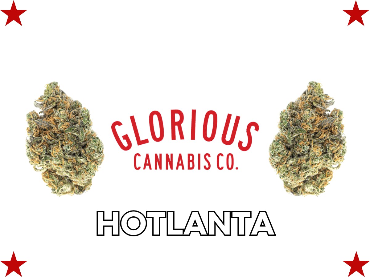 Product: GLORIOUS CANNABIS CO. | HOTLANTA | BULK | HYBRID