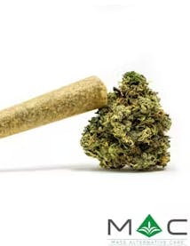 Product: Juniper Jive