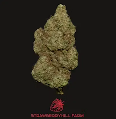 White CBG (H) – (3.5g) – Strawberry Hill Hemp-1