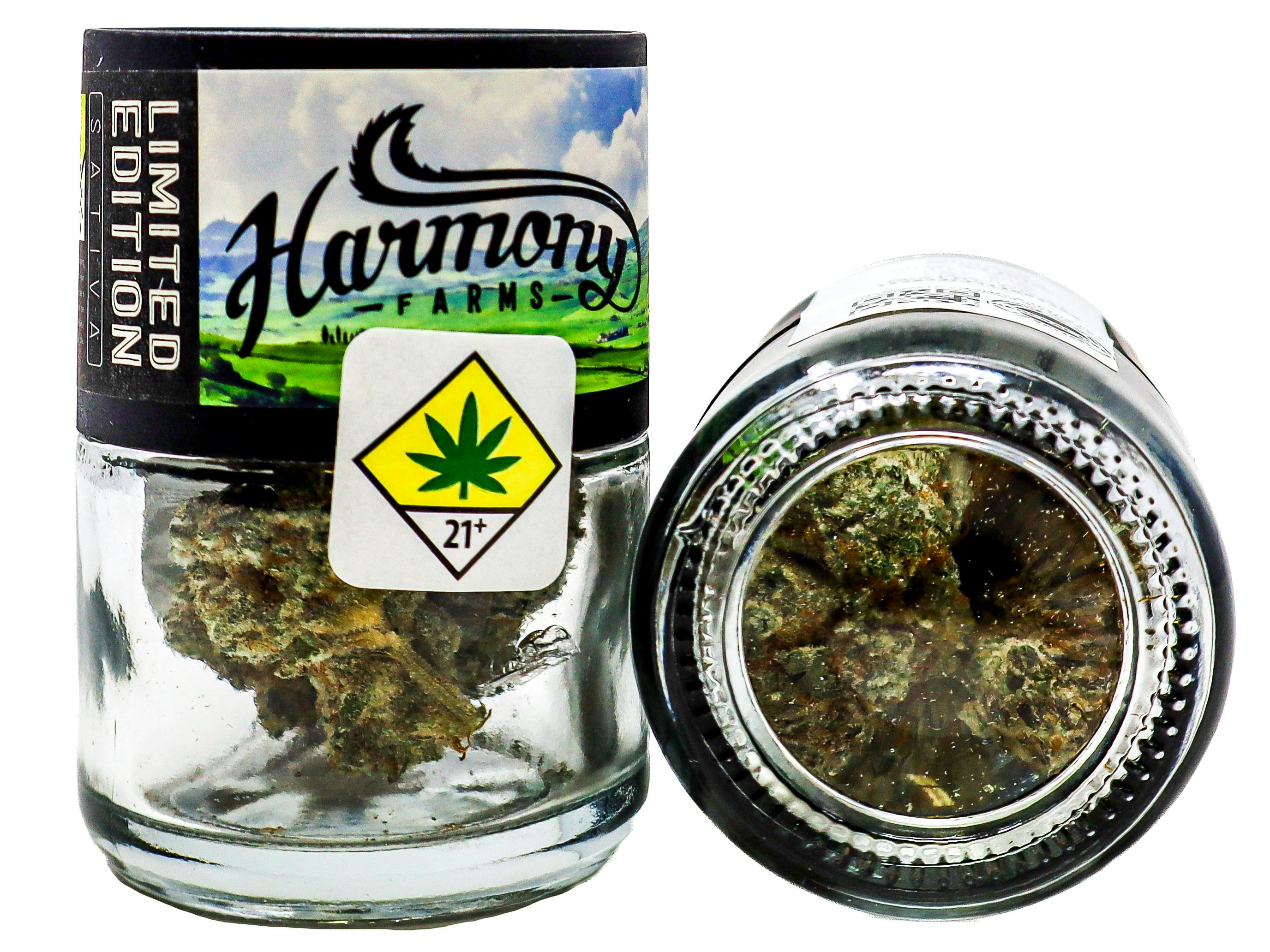 HF Mimosa 53987 | Cannabis and Glass - North