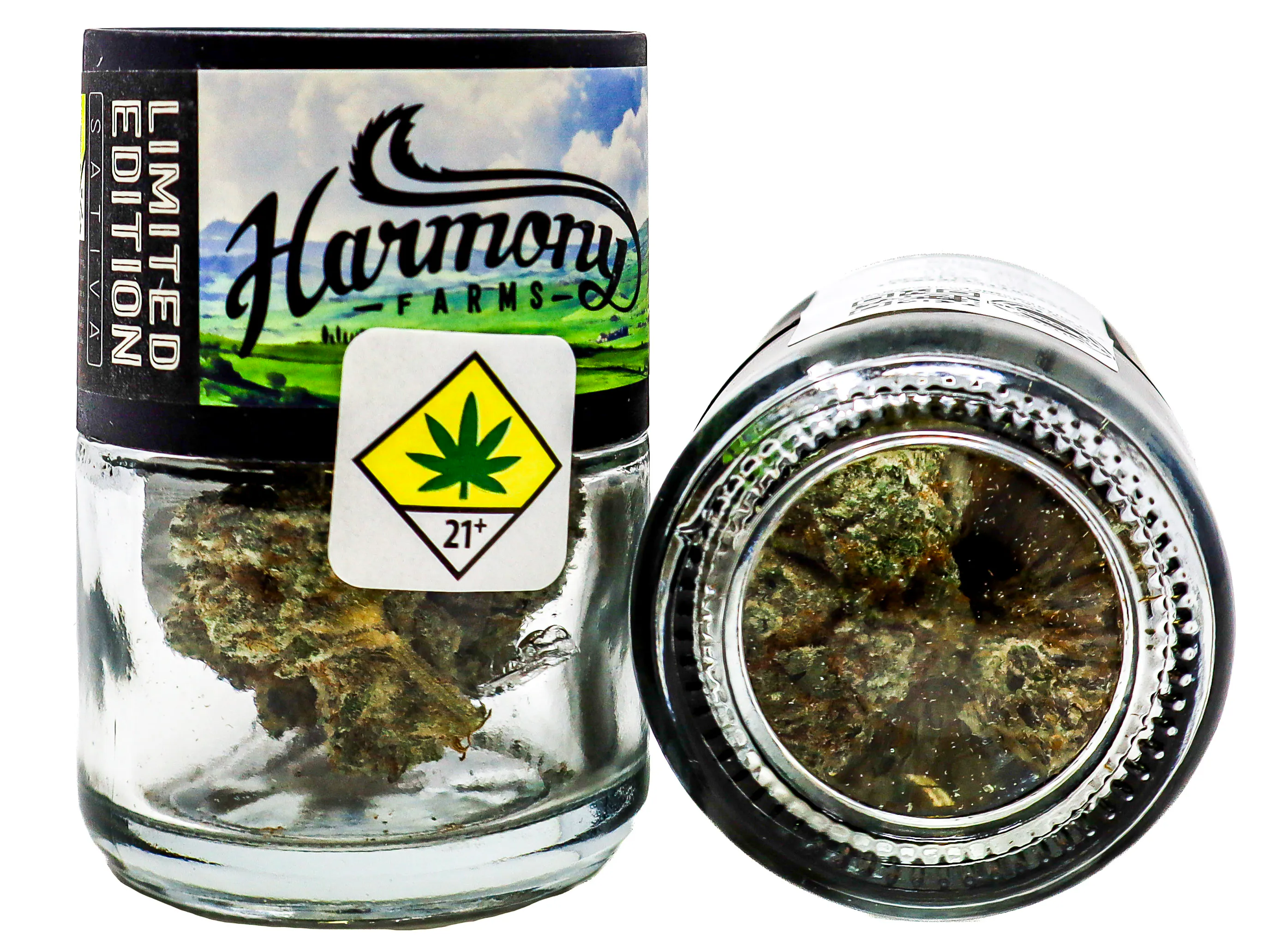 HF Mimosa 53987 | Cannabis and Glass - Valley