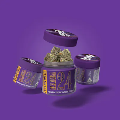 Traditional — Mamba 24