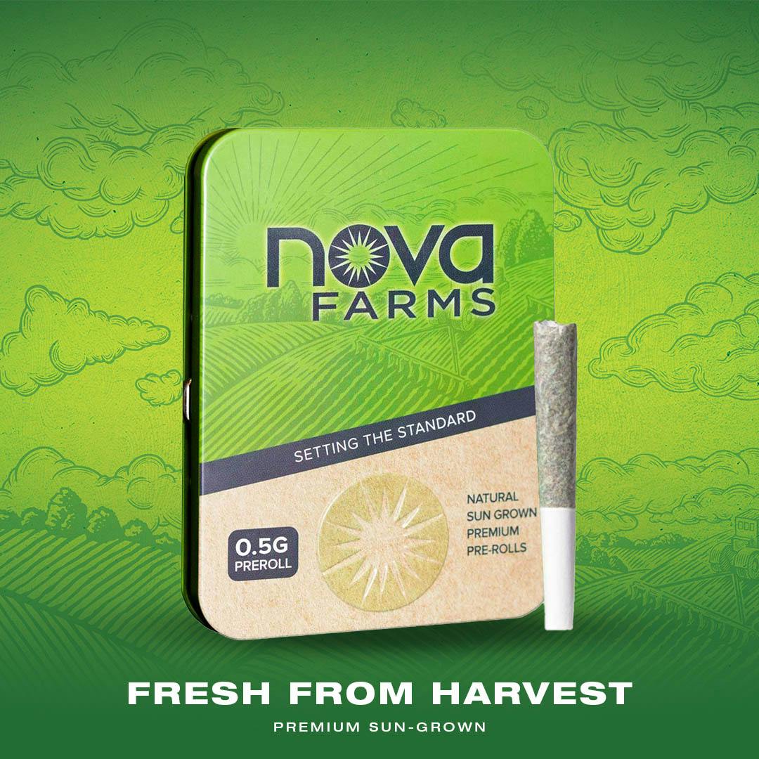 Nova Farms | Lemon Fresh | Pre-Roll 5-Pack | 2.5g