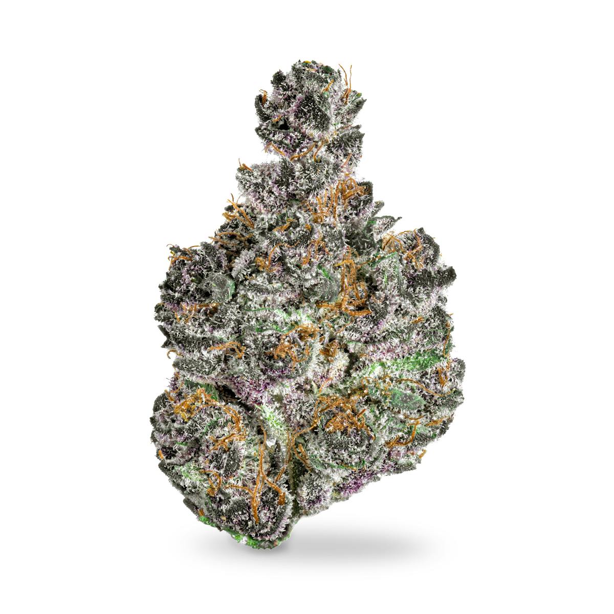 Photo of Tropicana Cookies