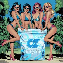 Only Zips - 14-Pack 1g Infused Prerolls - Jack Flash