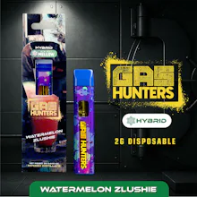 Gas Hunters - 2g Disposable - Watermelon Zlushie