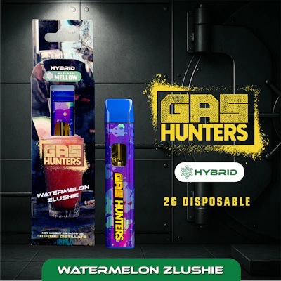 Gas Hunters - 2g Disposable - Watermelon Zlushie