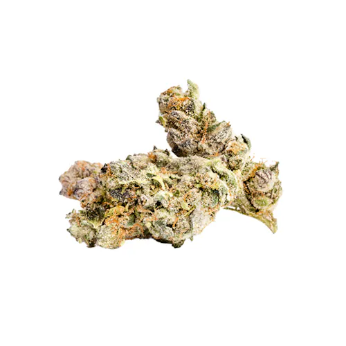Blissful Wizard Exclusive Flower-2