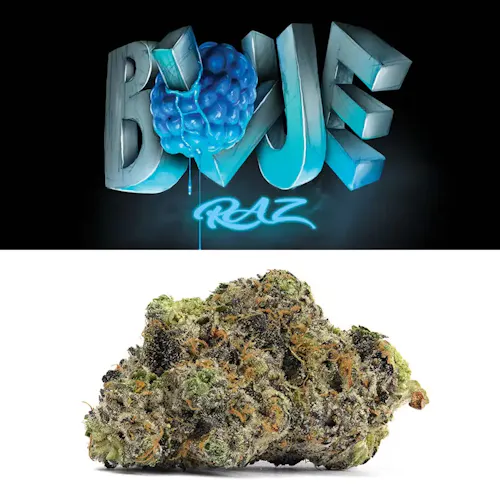 Cookies Blue Raz Pre-Roll 2-Pack-1