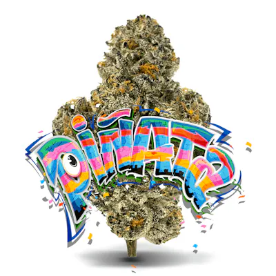 Piñata - Premium Flower