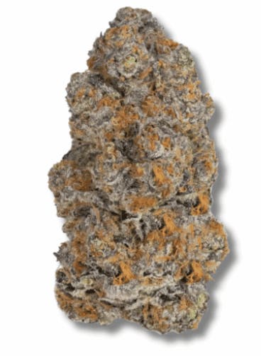 Product: Doja | Bizcotti | Flower - 3.5g