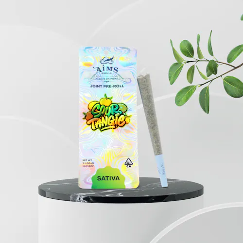 AIMS – Sour Tangie – Sativa – Indoor – Joint – 1.1g-1