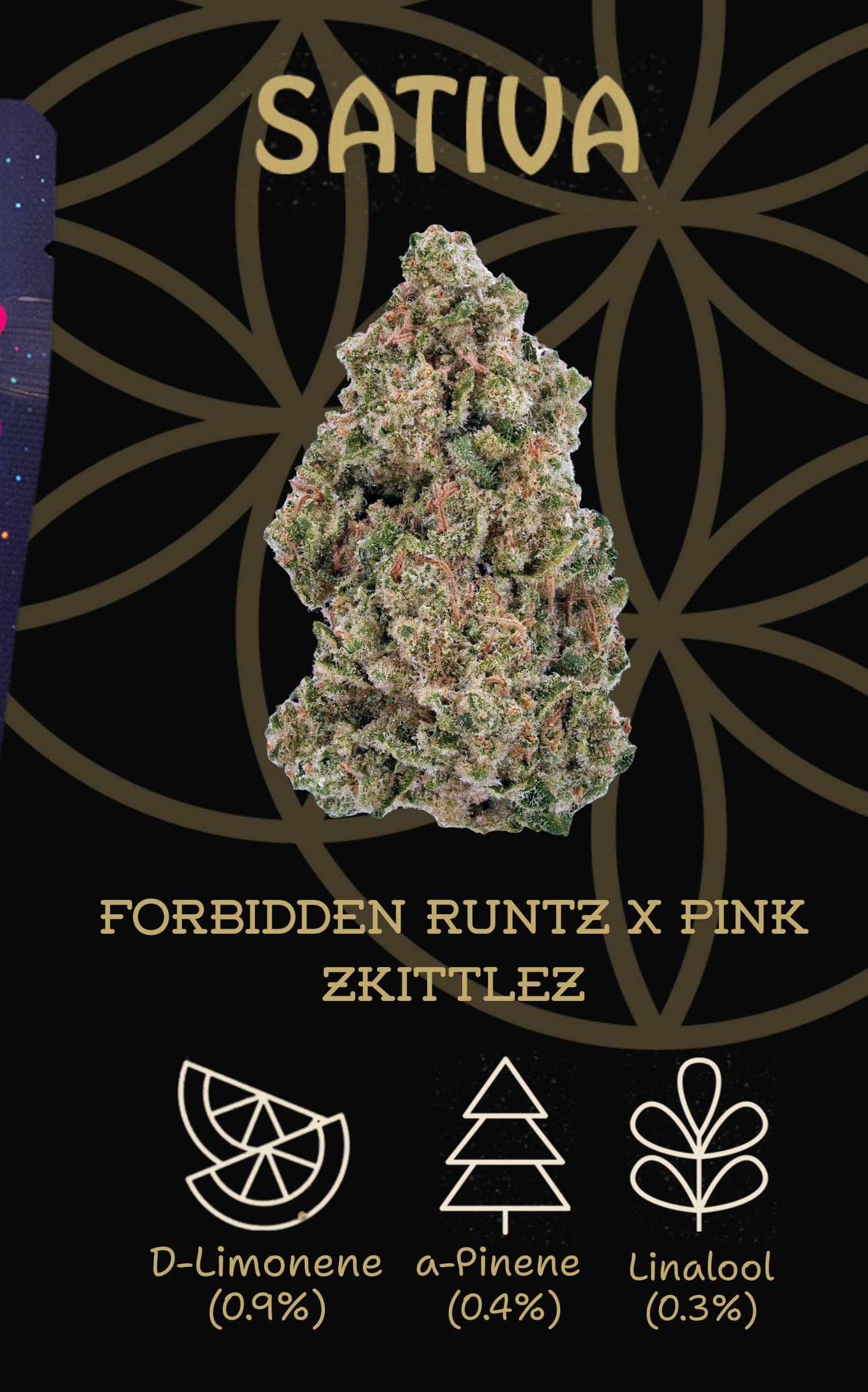 Flower of Life | Bulk Bud - Zour Runtz