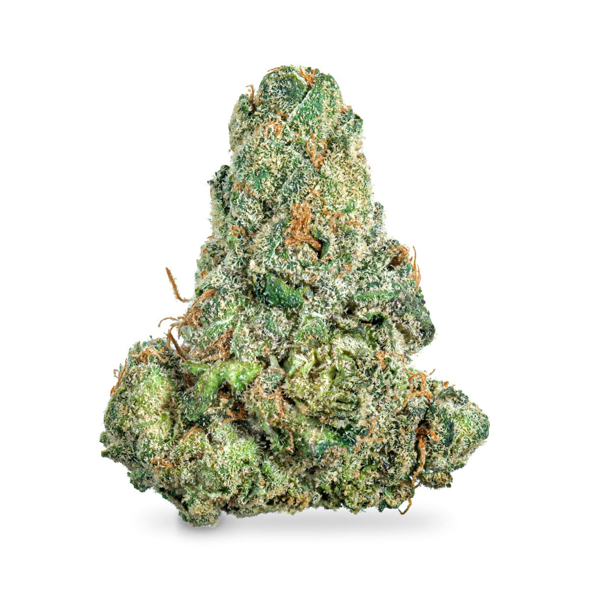 Photo of Dracoz Pre-Pack