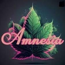 Amnesia - Orange Soda - 1g Vape