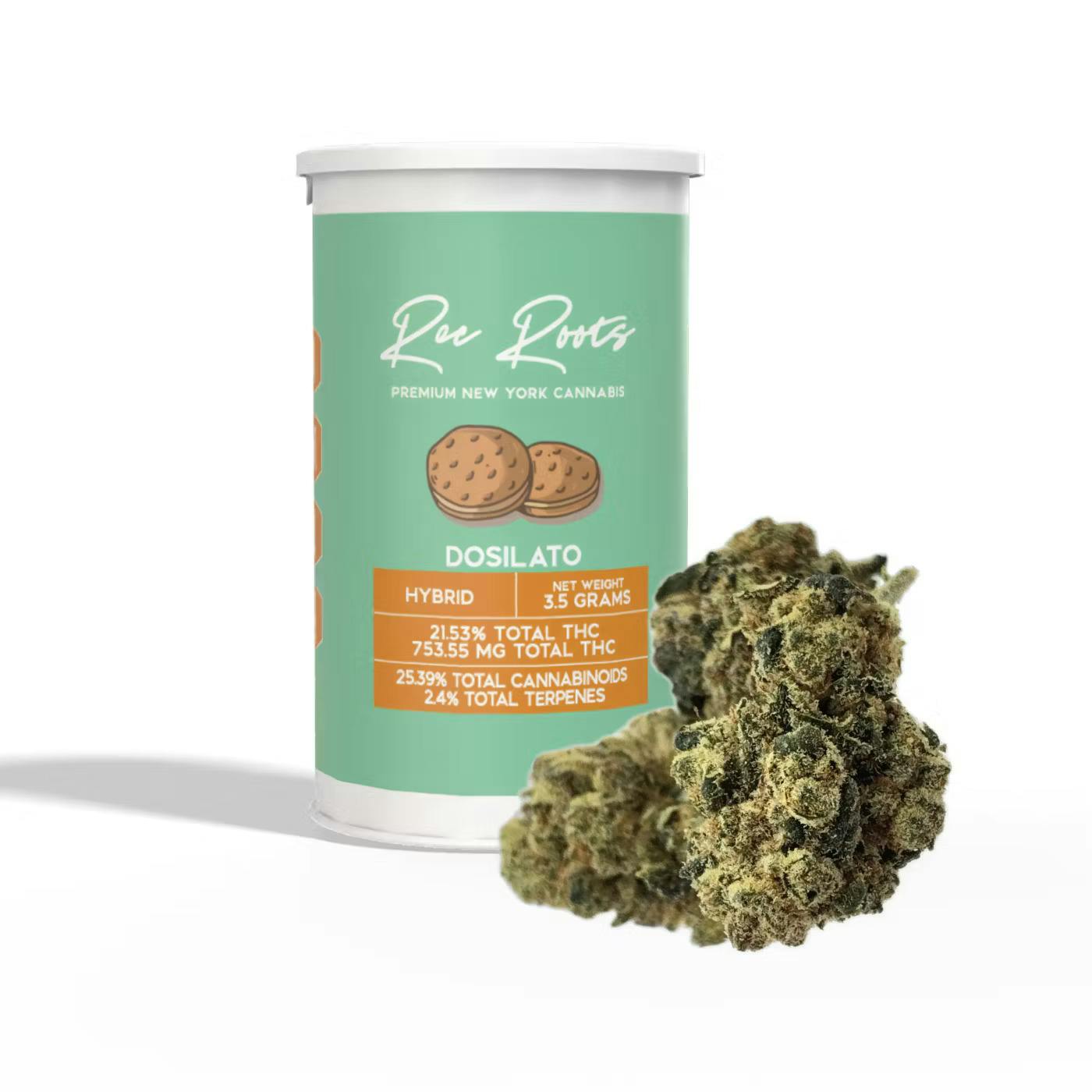 Photo of Rec Roots – Do-Si-Lato