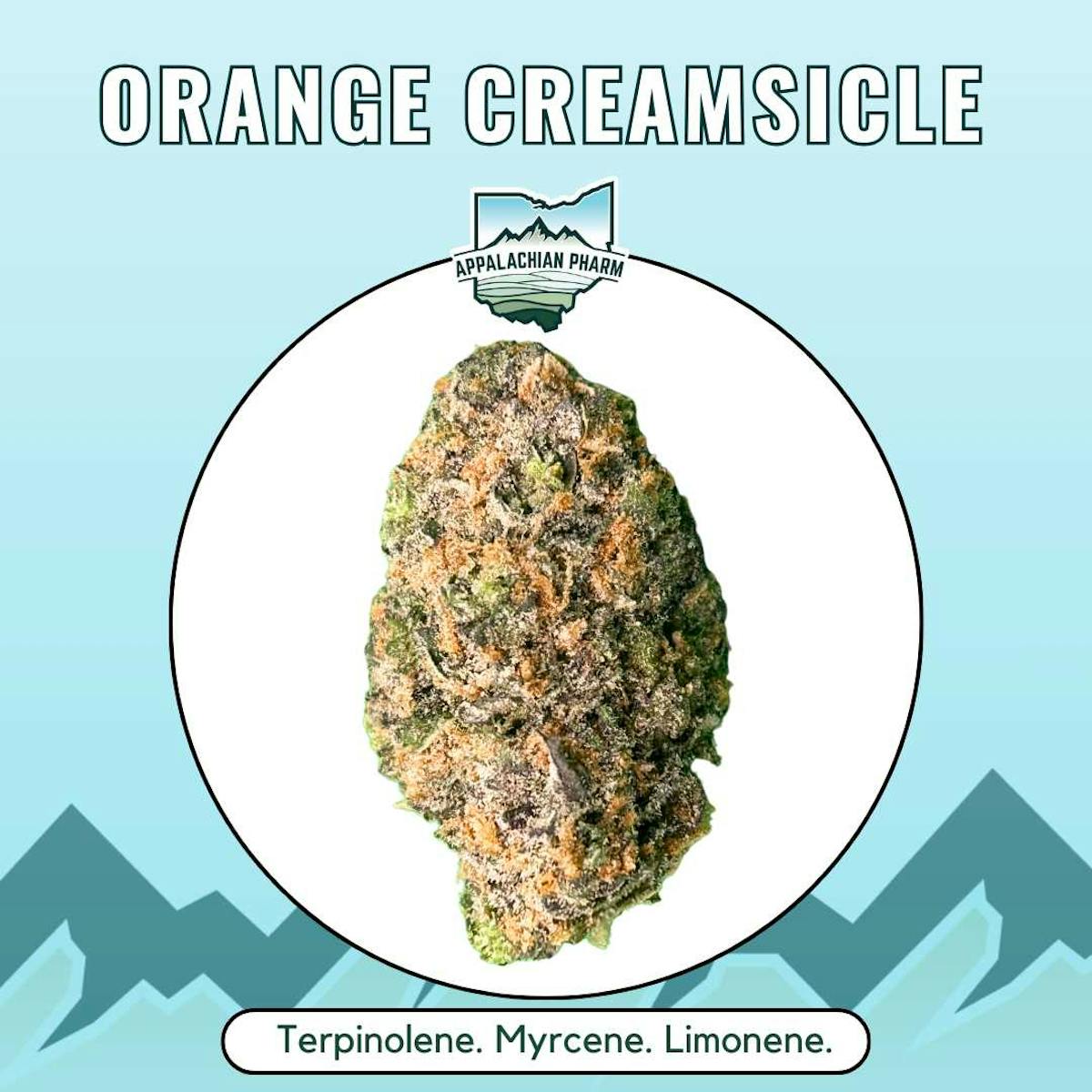 image of Orange Creamsicle Small Buds