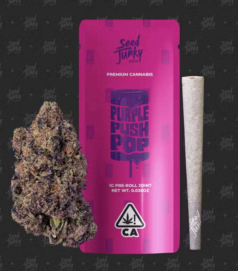 Product: Seed Junky | Pre-Roll - Purple Push Pop - 1g