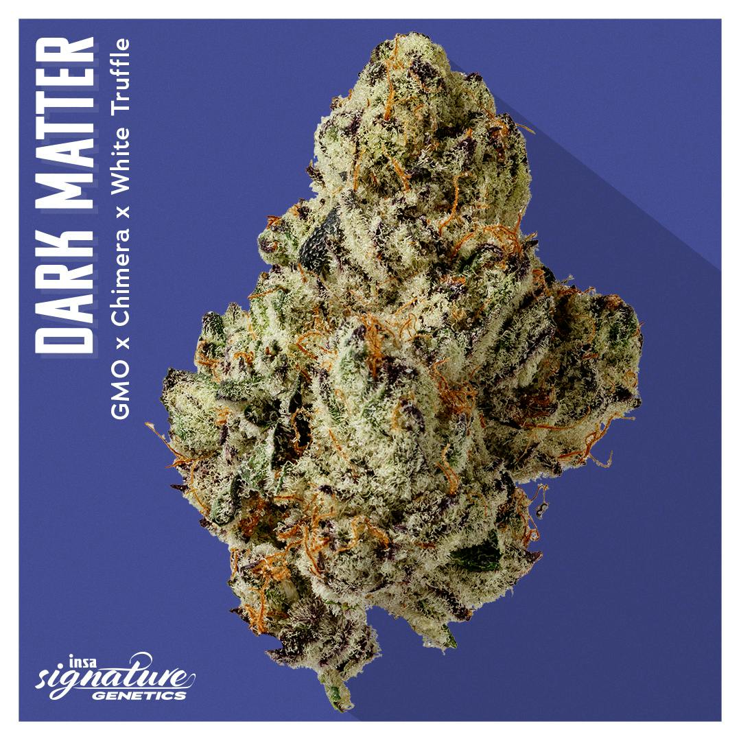 Product Dark Matter | Flower