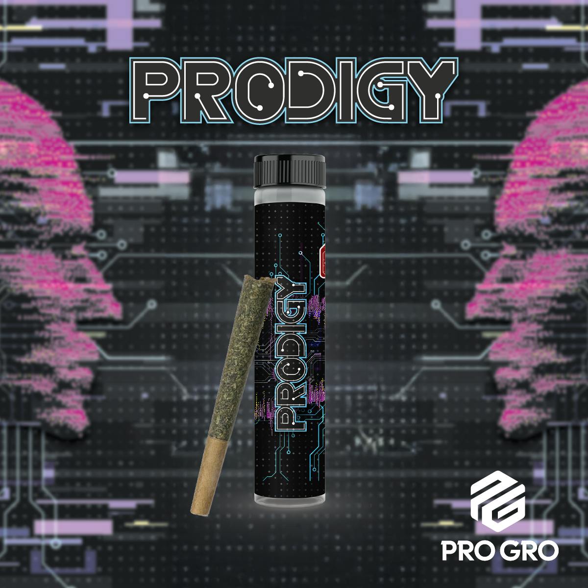 Pro Gro - 1g Preroll - Prodigy