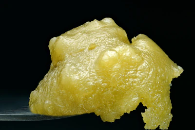 Wojo - 2g Live Rosin - Malibu Marsha
