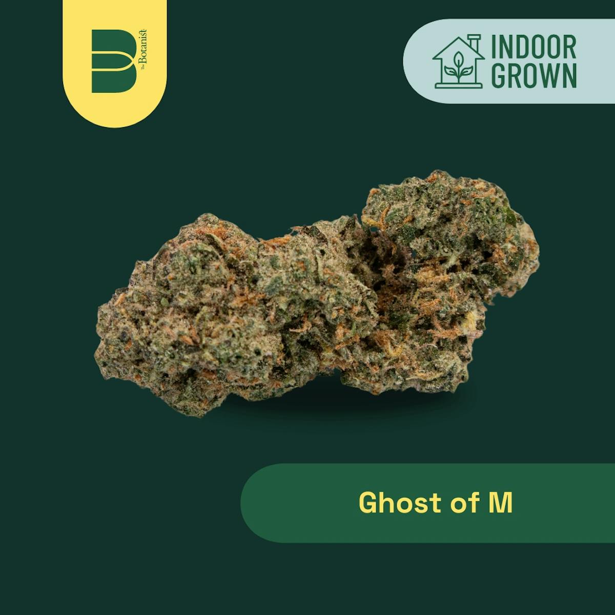 Image of Ghost of M