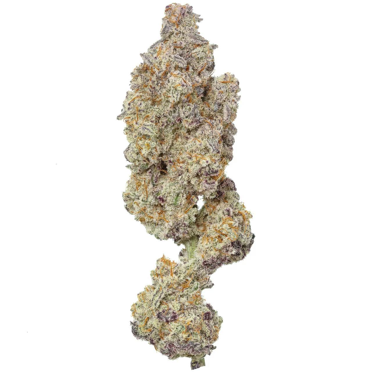 DaDa | Boofzilla | 3.5g (Premium Cannabis)