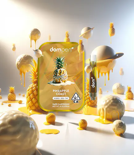 Pineapple Coast Cartridge (1g)-1