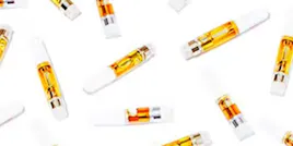 Vaporizers category image
