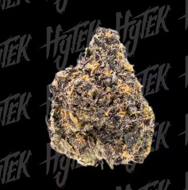 Hytek - Flower - Los Muertos 10