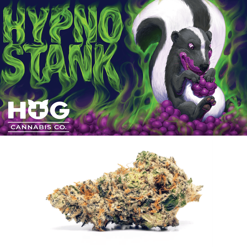 Product: HOG Farms | Hypno Stank | Indica | Bulk Flower | Bees Knees