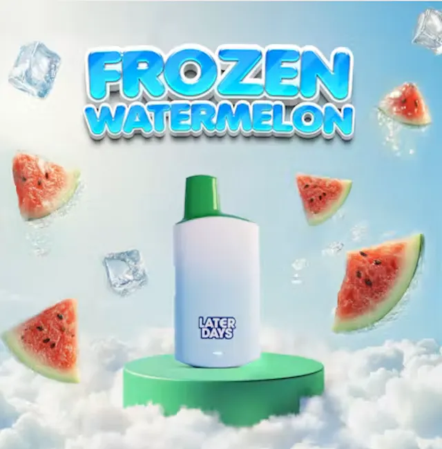 Later Days Disposable Frozen Watermelon 2g (hybrid, disposables)